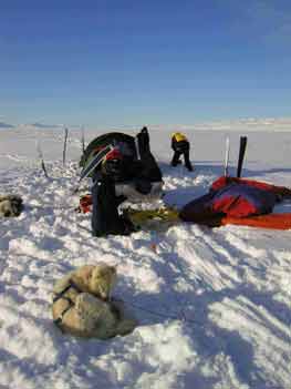 greenland-camp